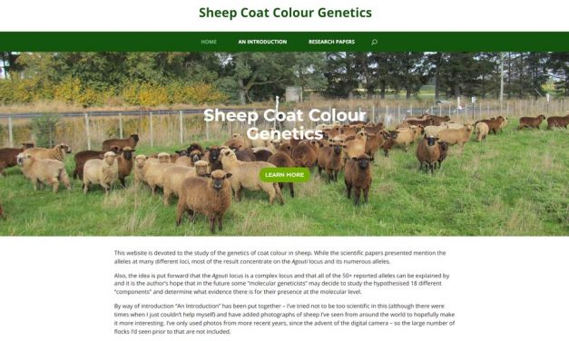 Sheep Coat Colour Genetics